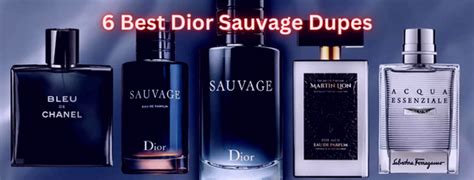 dior sauvage lidl|best dior dupes.